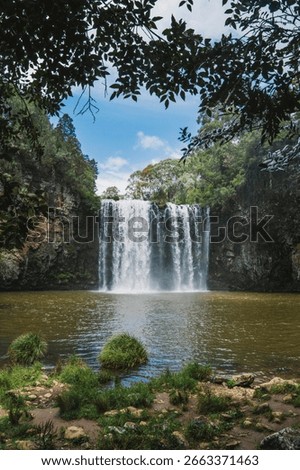 The Dangar Falls is a cascade waterfall located across the Bielsdown River about 1.2 km north of Dorrigo in the New England region of New South Wales, Australia