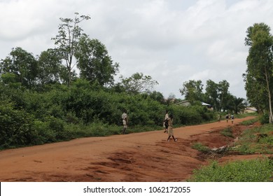 Dangbo Benin November 17 2015 School Children In Uniform Walking On The Street