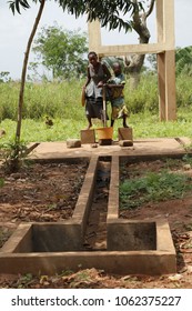 Dangbo Benin November 17 2015  Girls Pumping Water From The Well