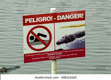 Danger!  Crocodiles