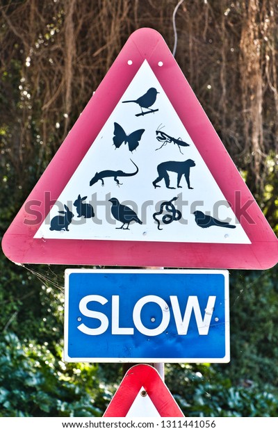 Danger traffic sign by passage\
of animals in freedom located on the road uphill to Gibraltar\
rock
