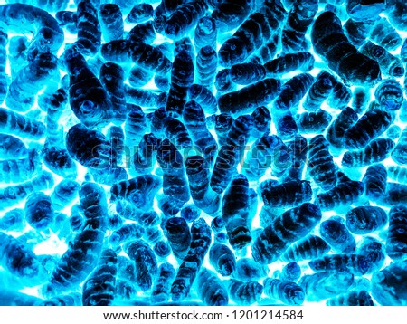 Dangerous bacteria abstract background