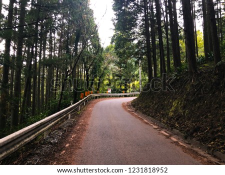 Similar – Image, Stock Photo Forest road landscape with couple riding motorbike