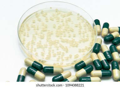 Dangerous Multi Drug Resistant Superbacteria Threaten Human Health