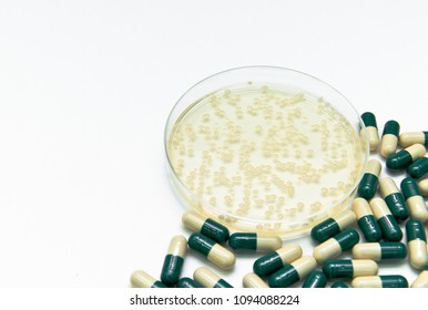 Dangerous Multi Drug Resistant Superbacteria Threaten Human Health