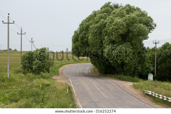 dangerous right turn of the road on which hang the\
branches of trees