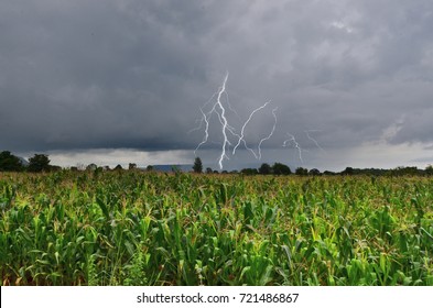 Dangerous Thunder And Rain Storm Over Corn Field