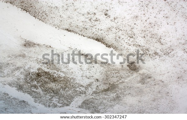 Dangerous Toxic Fungus Mold On Ceiling Stock Photo Edit Now