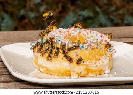 A dangerous Wasp on food	
