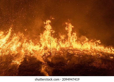 The Dangerous Wildfire Of Siberia Near Novosibirsk, Russia In October 2021