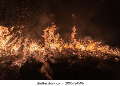 The Dangerous Wildfire Of Siberia Near Novosibirsk, Russia In October 2021