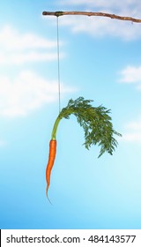 Dangling Carrot From Stick