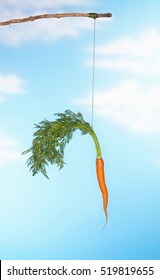 Dangling Carrot From Stick