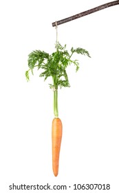 Dangling Carrot And Stick Isolated On White