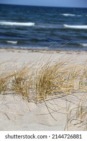 Danish Beach In The Summer