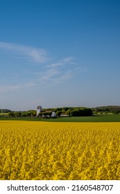 Danish church and rapeseed field
