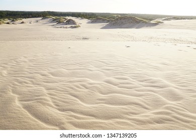 The Danish Desert: Råbjerg Mile