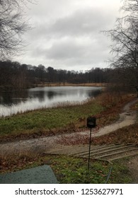 Danish Forrest Lake 