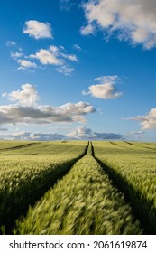 Danish Landscape And Blue Sky