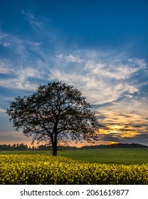 Danish Landscape And Blue Sky