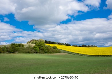 Danish Landscape In The Summertime