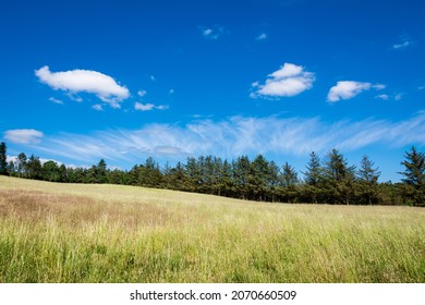 Danish Landscape In The Summertime