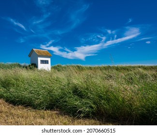 Danish Landscape In The Summertime