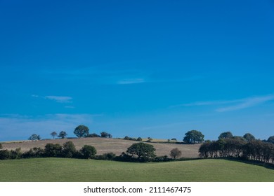 Danish Landscape In The Summertime