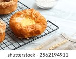 Danish pastry on a white plate. with icing sugar. Perfect for recipe, article, photo illustration, or any commercial purpose.