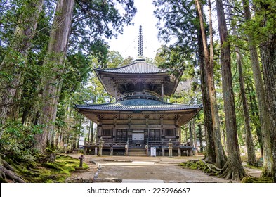 Danjogaran Saito. Danjo Garan Is A Temple Complex; Another First Established By Kobo Daishi As A Dojo (school) For The Shingon Sect At The Time He Entered Koyasan 