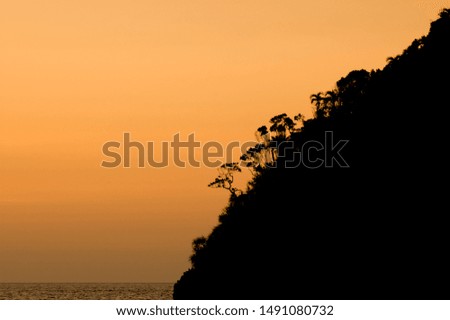 Danjugan tropical island sunset silhouette of palm trees. Negros, Philippines, April