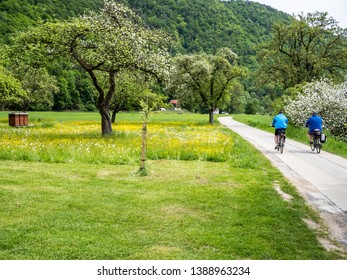 
Danube Cycle Path In Spring