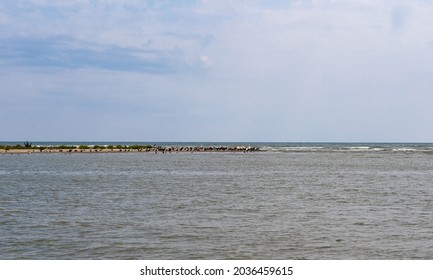 Danube Delta - 0 Km 