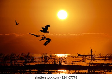 Danube Delta