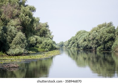 Danube Delta Landscape - Romania