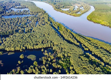 The Danube River In Its Wide Floodplain
