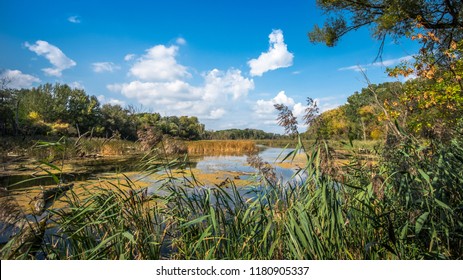 Danube`s Floodplains, Protected Area Dunajske Luhy, Slovakia