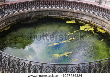 Danube's spring, spring, fount