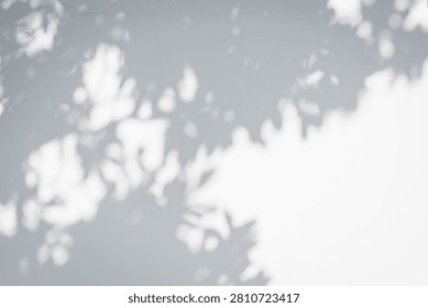 Dappled light and shadow filtering through foliage, blurred monochrome texture