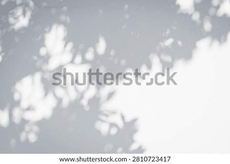 Dappled light and shadow filtering through foliage, blurred monochrome texture