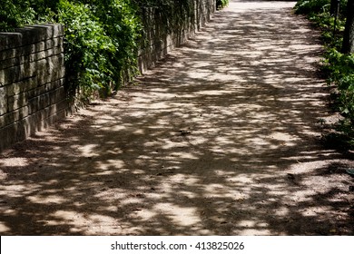 Dappled Sunlight Falling On Dirt Path