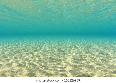 Sandy Ocean Floor Images Stock Photos Vectors Shutterstock