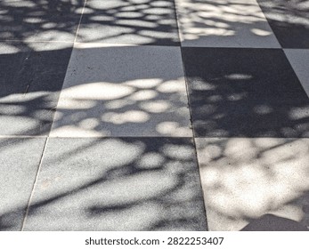 Dappled tree leaf shadow and sunlight overlay on black and white checkered ceramic tile floor.