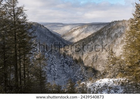 Dapples of light fill the snowy Blackwater Canyon at Blackwater Falls State Park in West Virginia, USA.