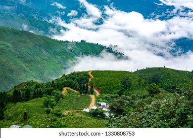 Darjeeling Tea Tourism Stock Photo 1330808753 | Shutterstock