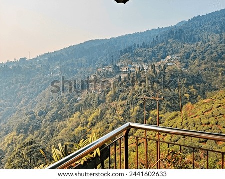 Darjeeling West Bengal India 18.03.2024 tea garden landscape view from balcony in Darjeeling of India