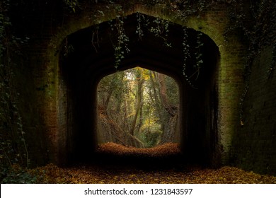 Dark Archway In Autumn Woods