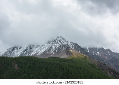 Dark atmospheric landscape with forest snow mountain in low clouds. Gloomy overcast scenery with high mountains with forest and snow under low lead gray sky. Bleak view to large snowy mountain range.