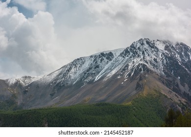 Dark atmospheric landscape with forest snow mountain in low clouds. Gloomy overcast scenery with high mountains with forest and snow under low lead gray sky. Bleak view to large snowy mountain peak.