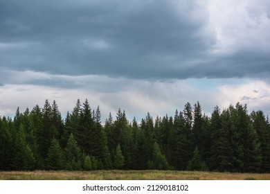 Dark atmospheric landscape with moody coniferous forest in overcast. Dark forest line under cloudy sky during rain. Sharp trees tops under rainy clouds. Pointed pines and pointy spruces in gloomy sky. - Powered by Shutterstock